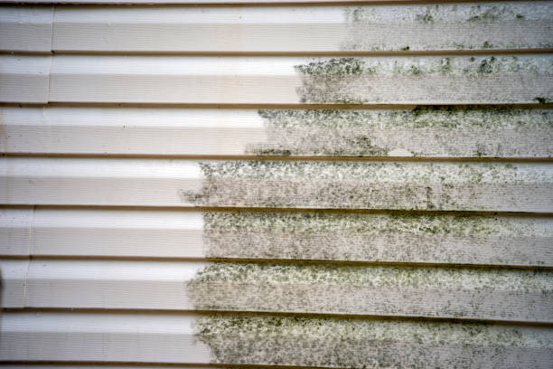 Best Shed Removal  in Madera, CA